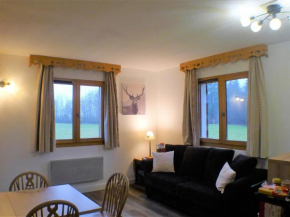 Charmant 2 pièces cabine avec parking et équipement modern à Samoëns - FR-1-629-121